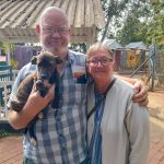 collecting mia from pet pals